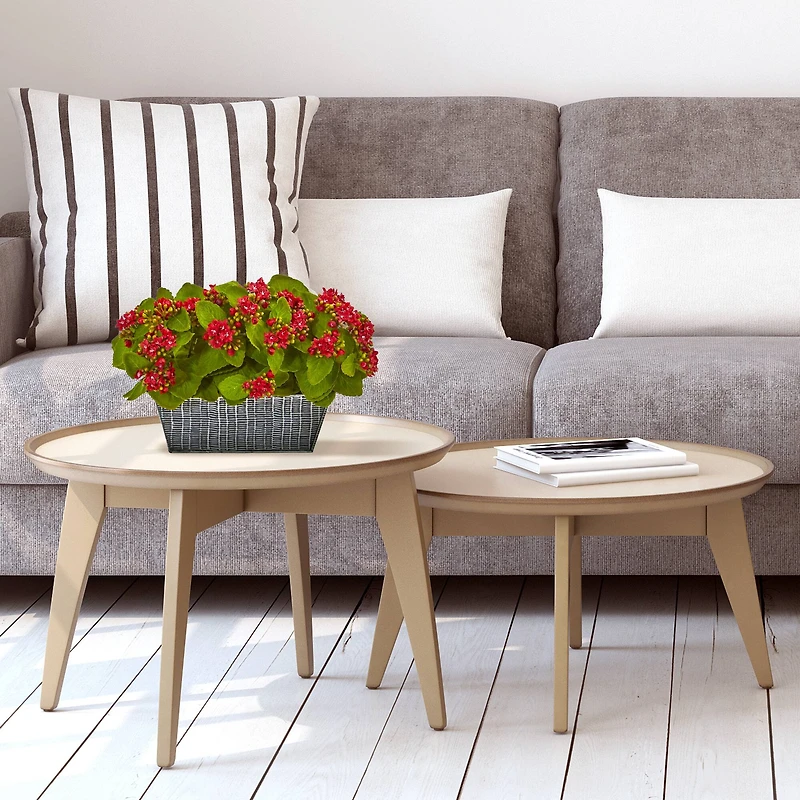 14in. Red Kalanchoe Plant in Black Embossed Planter