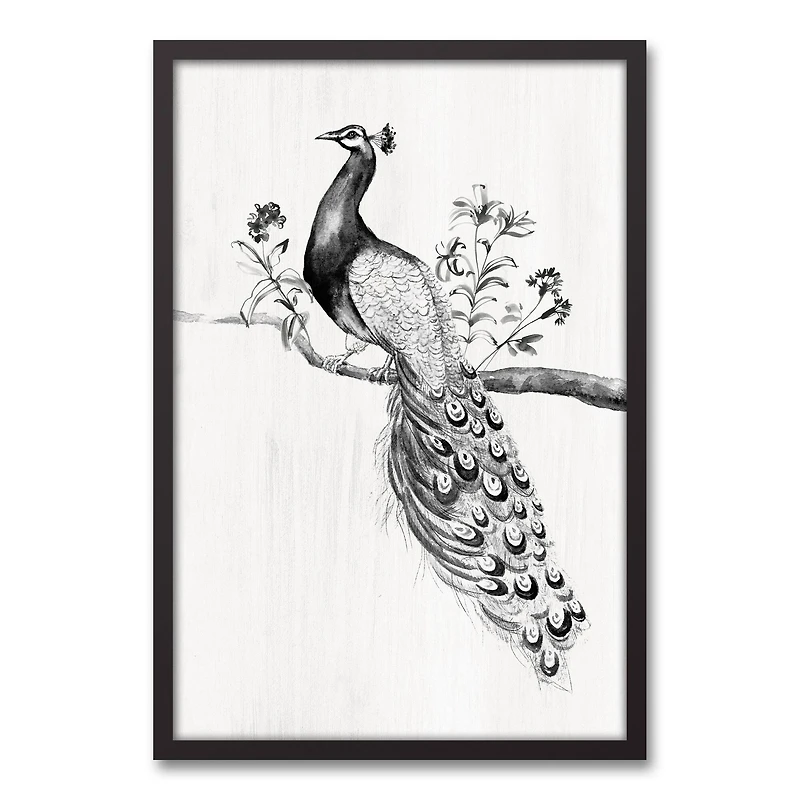 Perching Peacock 21.73" x 31.73" Black Framed Canvas
