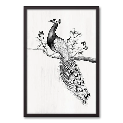 Perching Peacock 21.73" x 31.73" Black Framed Canvas