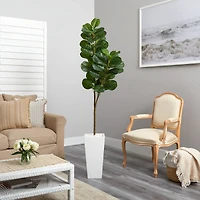 6ft. Fiddle Leaf Fig Tree in Tall White Planter
