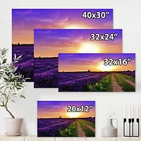 Designart - Lavender Field At Dawn II