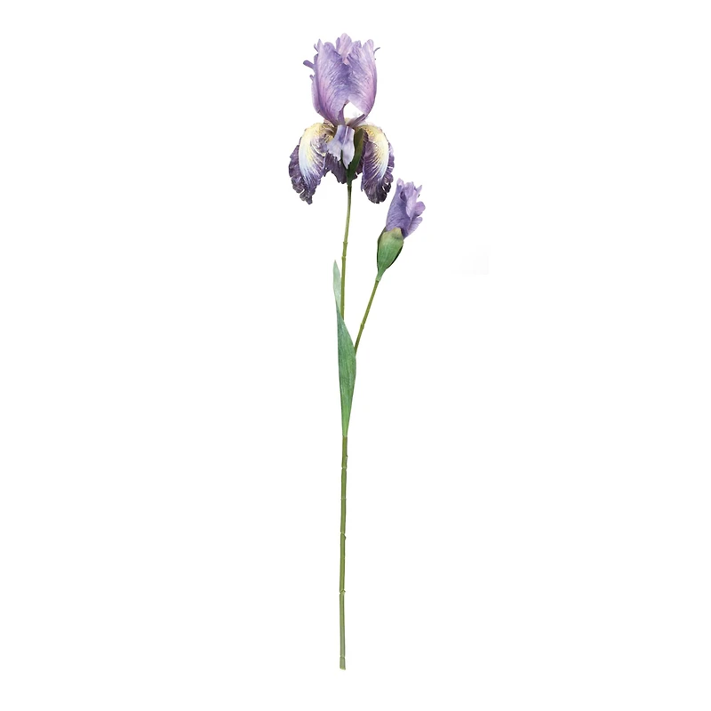 32.5" Iris Floral Stem, 6ct.