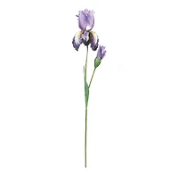 32.5" Iris Floral Stem, 6ct.