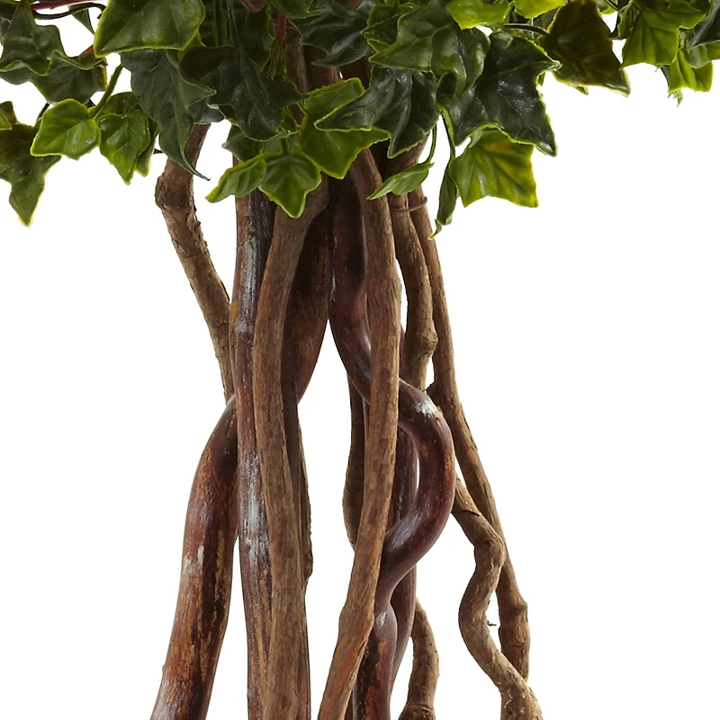 2.5ft. Potted English Ivy Topiary