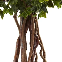 2.5ft. Potted English Ivy Topiary