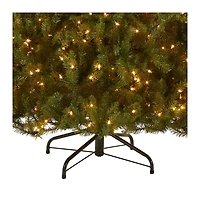 9 ft. Pre-Lit Dunhill® Fir Medium Profile Artificial Christmas Tree, Clear Lights