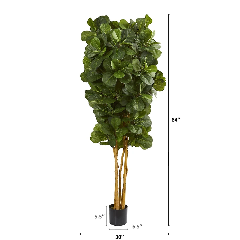 7ft. Potted Fiddle Leaf Fig Tree