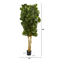 7ft. Potted Fiddle Leaf Fig Tree