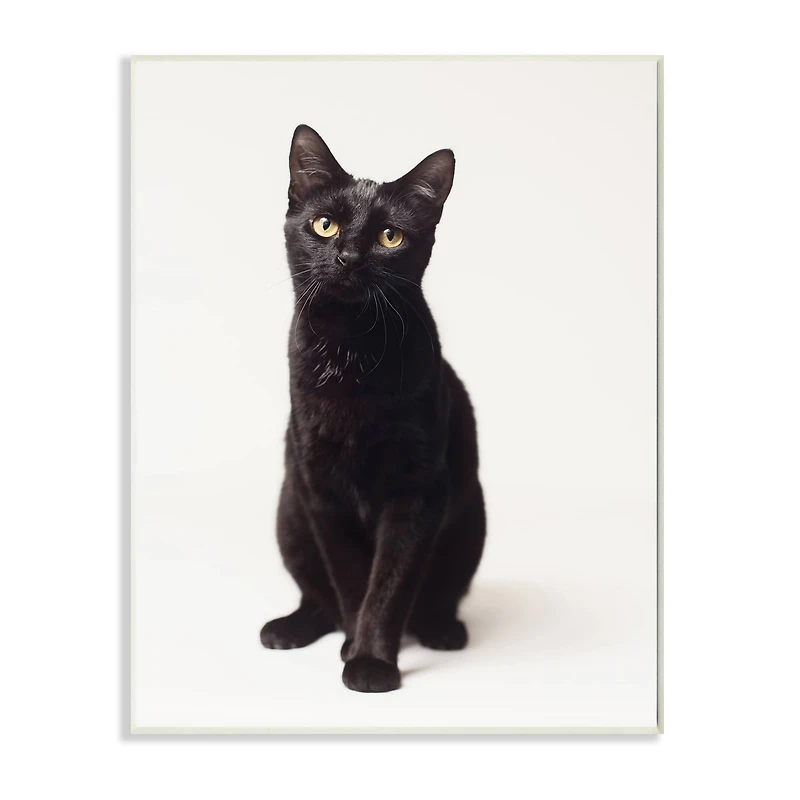 Stupell Industries Cute Black Cat Expressive Eyes Pet Portrait Wall Plaque