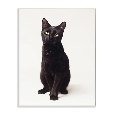 Stupell Industries Cute Black Cat Expressive Eyes Pet Portrait Wall Plaque