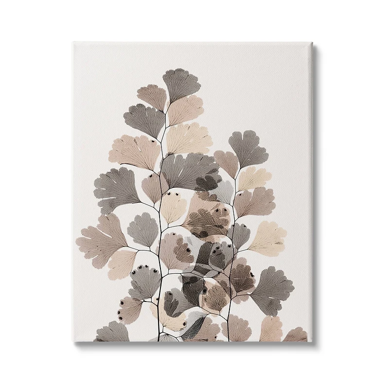 Stupell Industries Modern Ginkgo Leaf Arrangement Translucent Brown Grey Leaves Canvas Wall Art