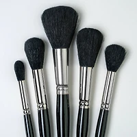 Silver Brush Limited Silver Mop™ 5 Piece Round Black Brush Set