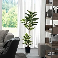 4ft. Potted Artificial Dumb Cane Tree