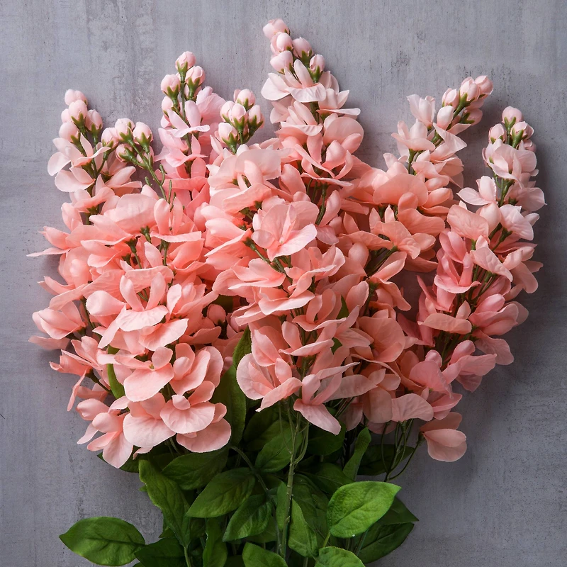 10 Pack: Coral Wisteria Bush by Ashland®