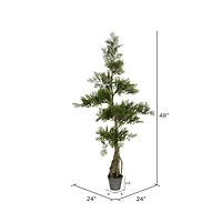 4ft. Potted Cedar Tree
