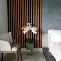 3.5ft. White Orchid Arrangement in Patina Metal Planter with Stand