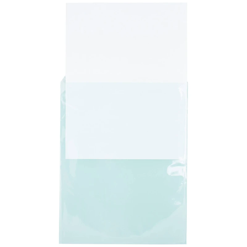 JAM Paper 8.93" x 11.25" Self Adhesive Closure Cello Sleeves