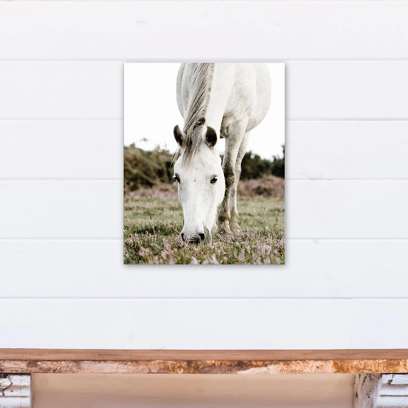 Grazing White Horse 16" x 20" Canvas Wall Art