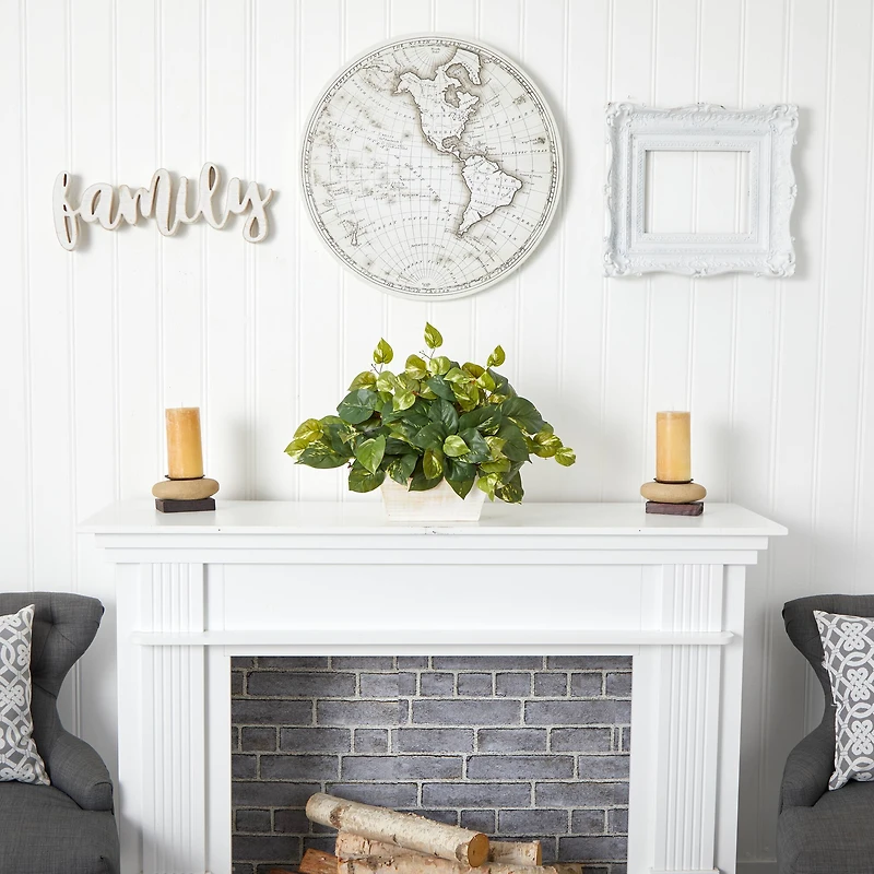 14" Pothos with White Wash Planter