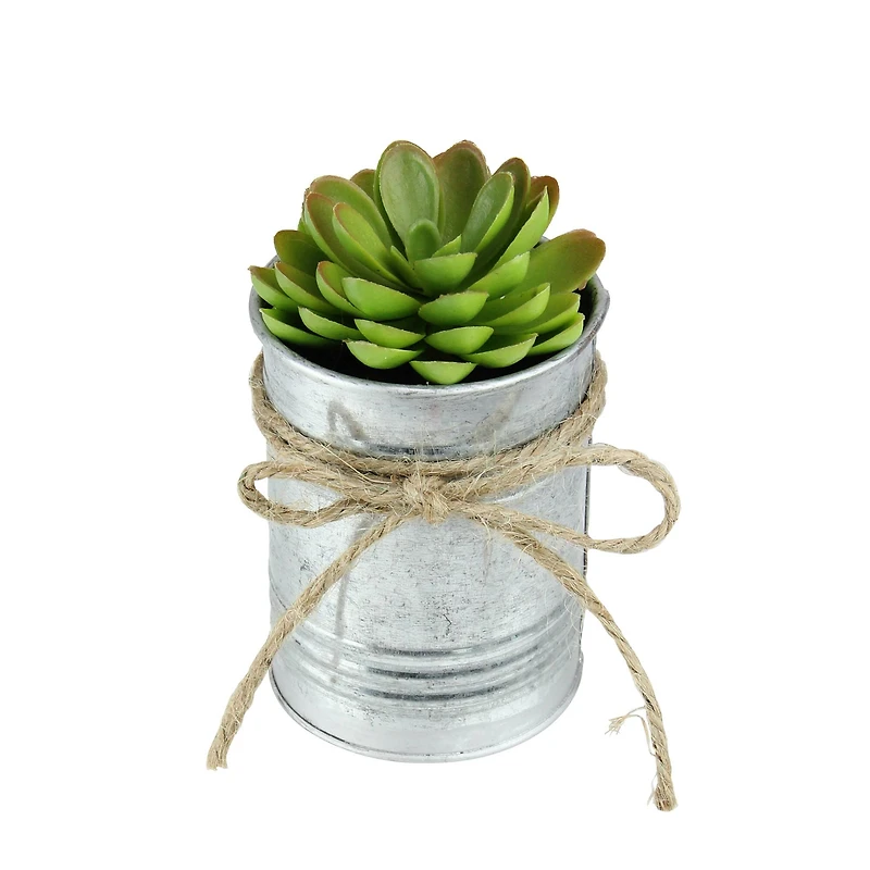7" Lime Green Mini Sprouting Rose Succulent in Tin Planter
