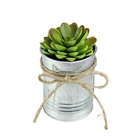 7" Lime Green Mini Sprouting Rose Succulent in Tin Planter