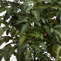 3ft. Bracken Fern in Wooden Planter