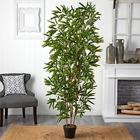 6ft. Potted Bamboo Tree