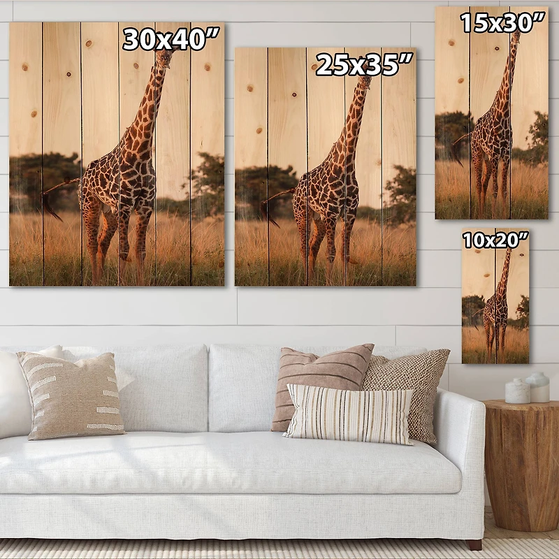 Designart - African Giraffe In The Wild I