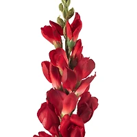 Red Snapdragon Stem by Ashland®
