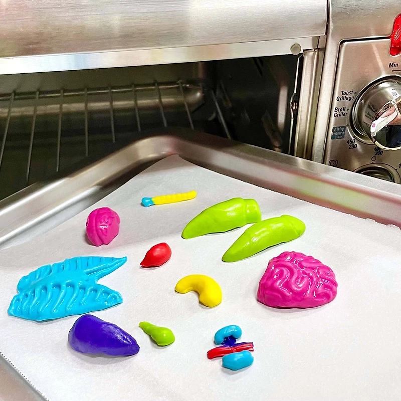 ArtSkills® Epic Lab Human Anatomy STEM Kit