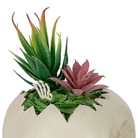 9" LED Lighted Succulent Halloween Skull Planter