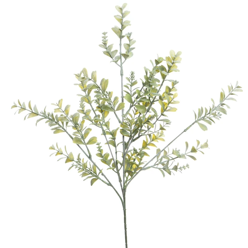 27" Boxwood Stem by Ashland®