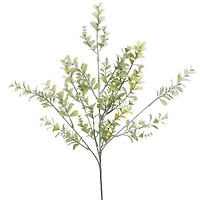 27" Boxwood Stem by Ashland®