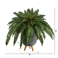 2.5ft. Boston Fern in Gray Planter with Legs