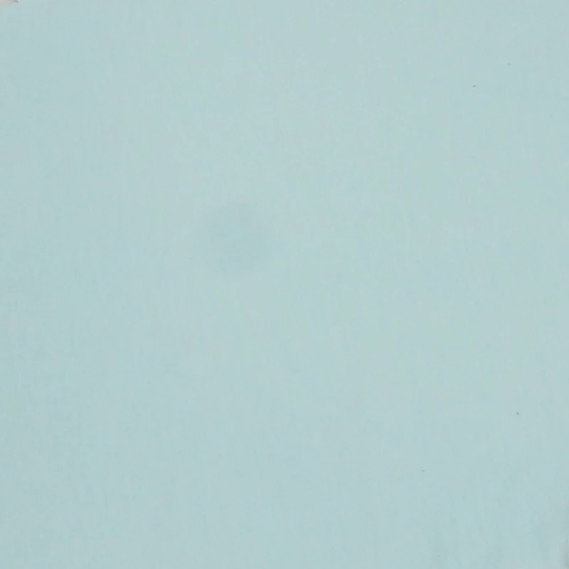 Fabric Merchants Solid Cotton Jersey Knit Fabric