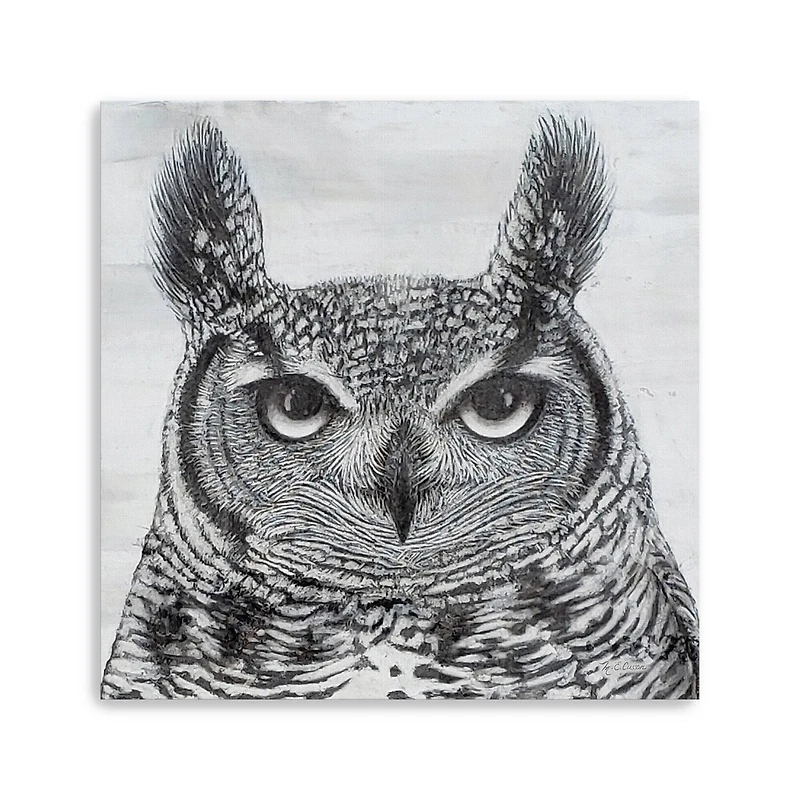 Portrait Of An Owl Canvas Giclee