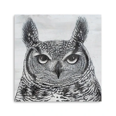 Portrait Of An Owl Canvas Giclee