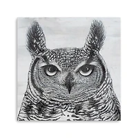 Portrait Of An Owl Canvas Giclee