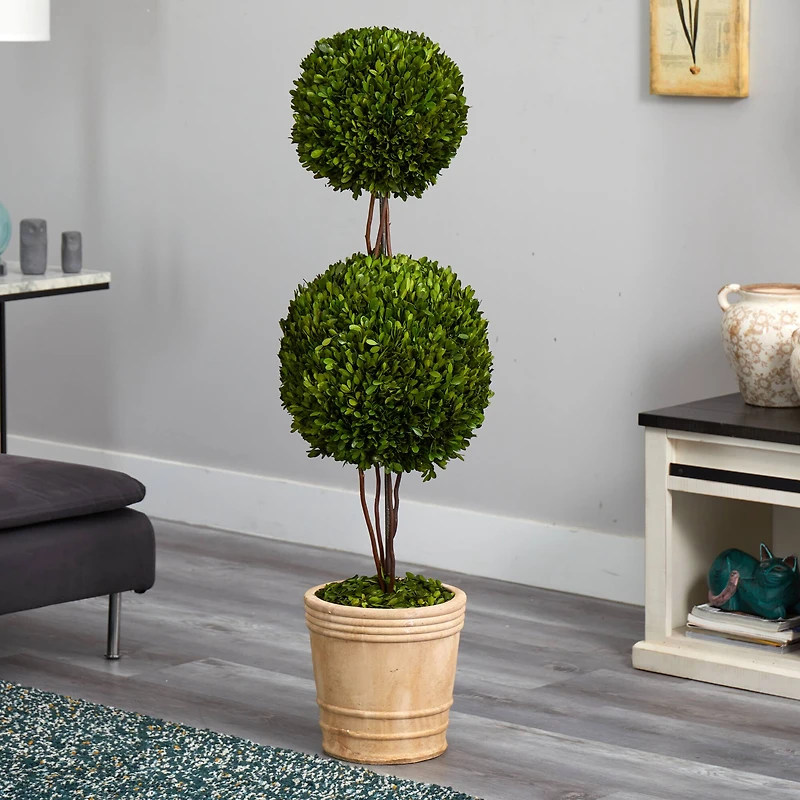 4ft. Boxwood Double Ball Topiary Tree in Planter