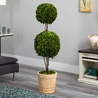 4ft. Boxwood Double Ball Topiary Tree in Planter