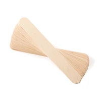 Craft Sticks by Creatology®