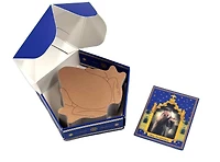 Harry Potter™ Chocolate Frog Sticky Notepad