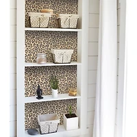 Brewster Leopard Adhesive Film, 2ct.