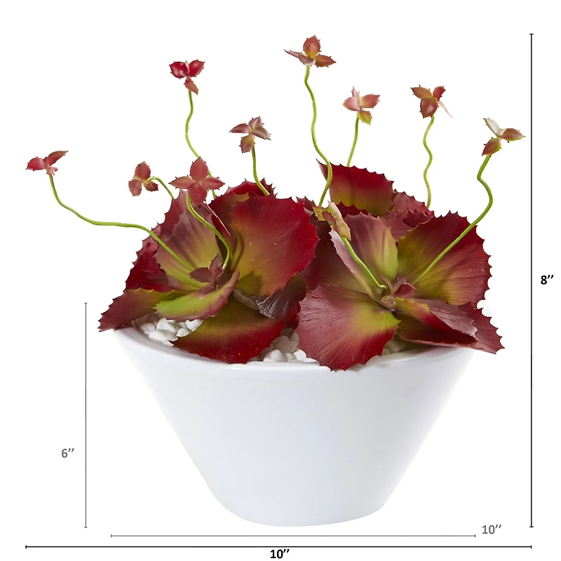 8" Burgundy Succulent Artificial Plant in White Bowl