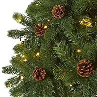 7.5ft. Pre-Lit Rocky Mountain Spruce Artificial Christmas Tree with Pinecones, Clear LED Lights