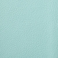 Turquoise Leather Trim by ArtMinds™