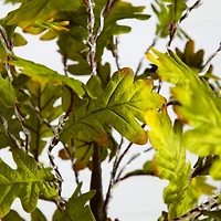 6ft. Pre-Lit Green Autumn Oak Artificial Fall Tree with 250 Warm White LED Lights