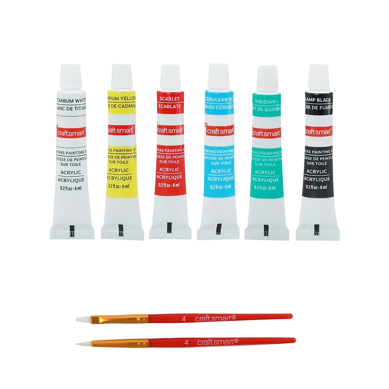 4" x 4" Moths Canvas Painting Kit by Craft Smart®