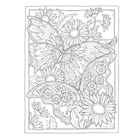 Dover Publications Creative Haven: Butterflies Flights Book