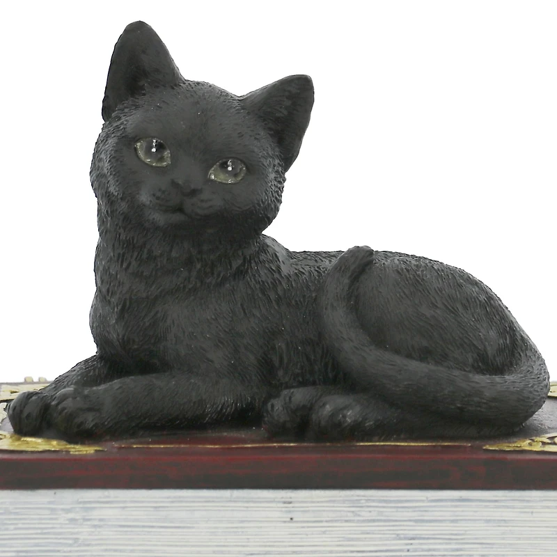 4.5" Black Cat with Books Tabletop Décor by Ashland®